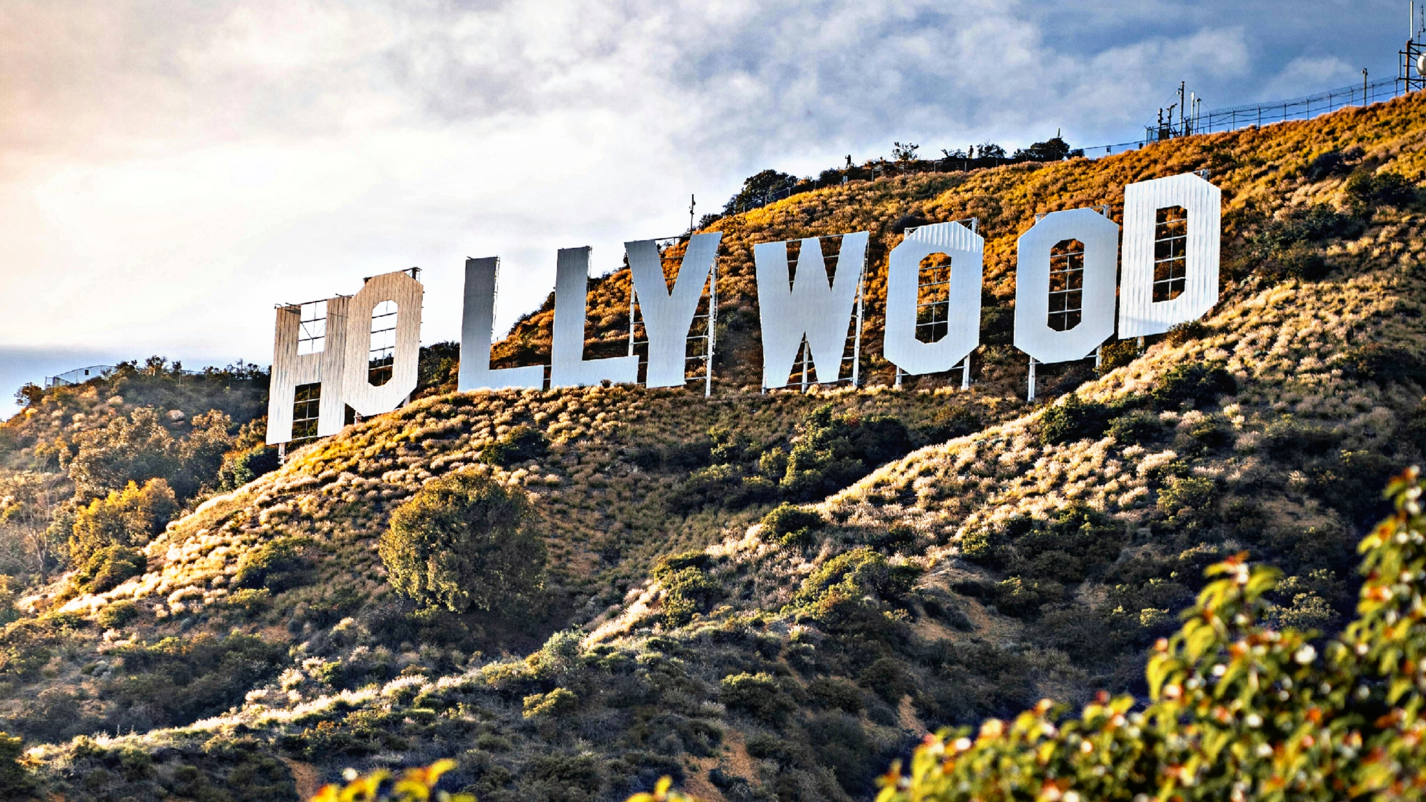 California (Los Angeles)