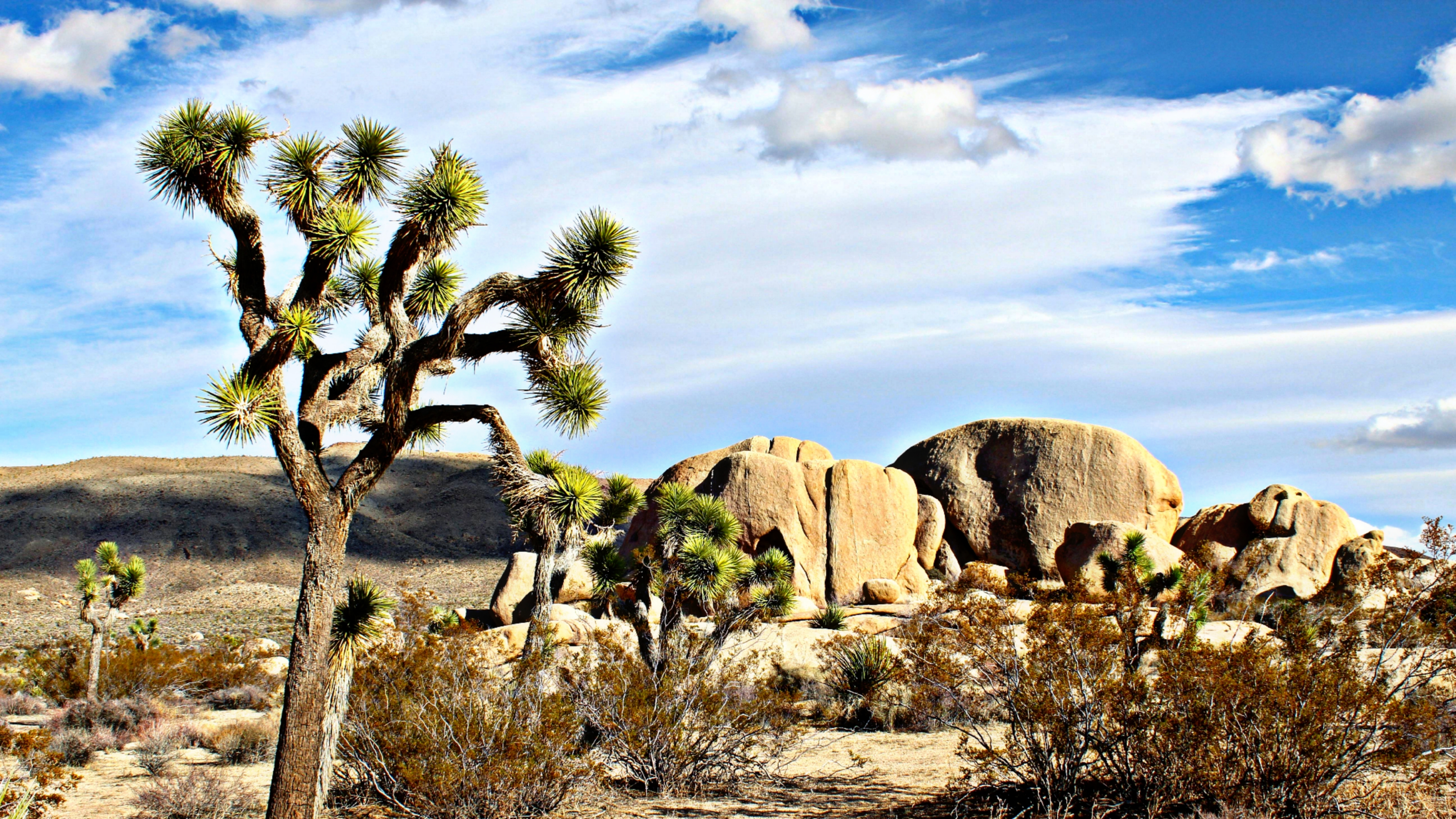 California Coachella Valley