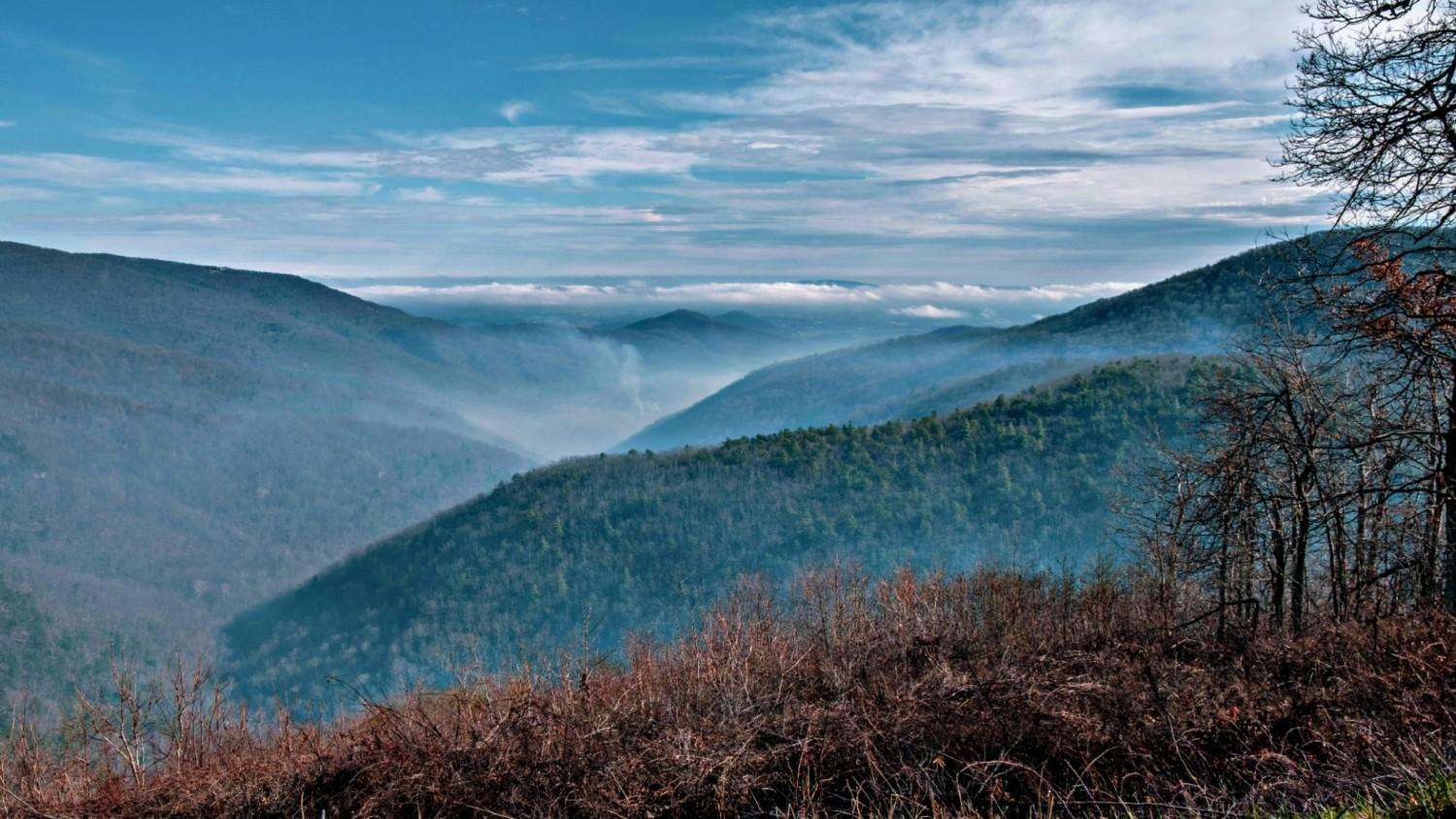 Virginia
