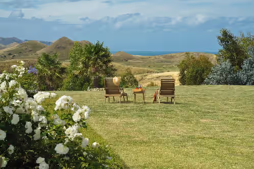 Cape South Estate lawn with view to ocean