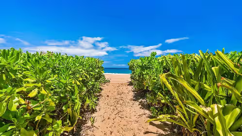 Anahola Beach Hale By Parrish Kauai, photo 4