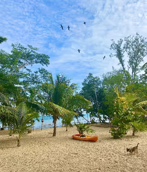Shedrock Shangrila, Beach Front Whole House, photo 4
