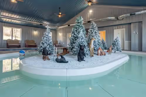 Lazy Creek, Deep Creek Lake, Indoor Lazy River, photo 5