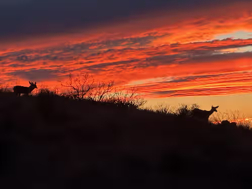 Sunsets are amazing! at 60-acre custom home with breathtaking views of city of Las Cruces & Organs
