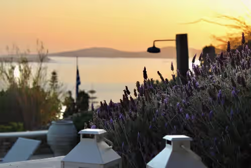 Property grounds at Spectacular Seaside Villa, St. John beach, Private Pool, Sunset View Over Delos