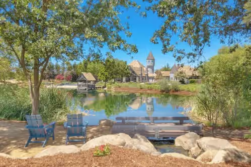 Luxury Castle Retreat UC Davis, photo 4