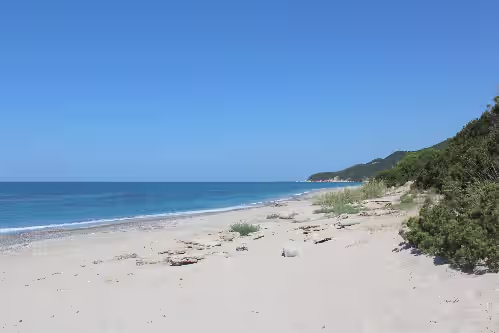 The gorgeous sandy beach right in front of the house at Luxury Villa on Sandy Beach, Beautiful Garden, Private Pool and
