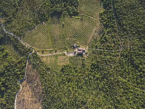Exclusive Tuscan Winery Escape: Charming Villa with Pool & Breathtaking Views, photo 4