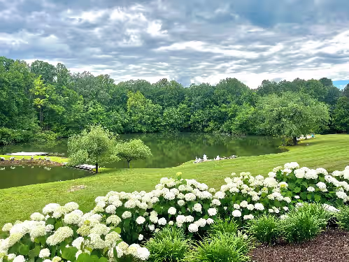 Ivy Retreat, photo 4
