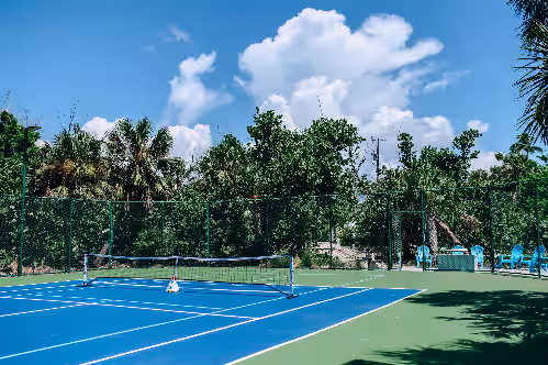 Private lighted Pickleball and Tennis Court at Sea Oats Luxury Estate