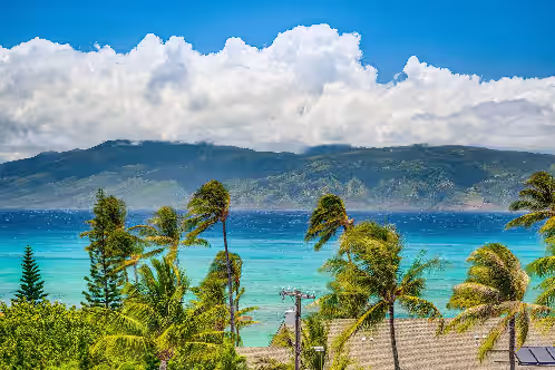 Tropical Gated Oceanfront Estate, Pool, Privacy, and huge ocean view on 2/3 acre