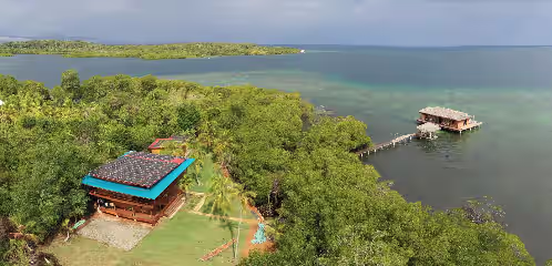 Eco-Lodge Bocas Coral Reef, photo 3