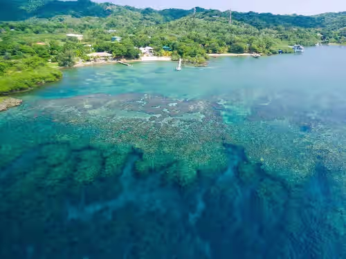 The Dock Resort: Includes boat for snorkeling out at the reef ! NEW LOW PRICE, photo 4