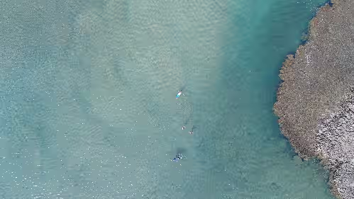 Caribbean Beach Front Paradise, photo 3
