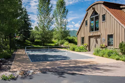 Sport court at Twin Creeks Ranch, 17min to DT Aspen