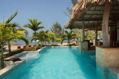 Little Harvest Caye, photo 4