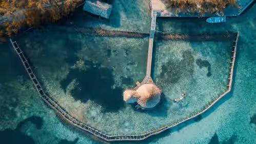 Thatch Caye, a Muy'Ono Resort, photo 3