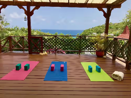 Sea view, fully staffed villa for Families & Retreats, groups of 12, photo 5