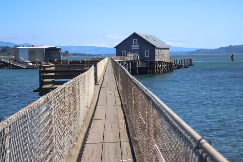 NEW 6400 SQFT BEACH MANSION, Ocean Views, Deck, Hot Tub, 3 Mins to Beach, Slp 25, photo 3