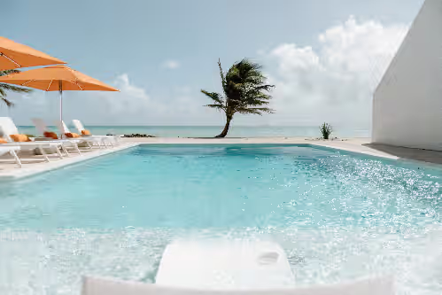 Ocean Front Luxury, photo 4