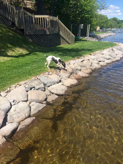 Executive Home on Lake Minnetonka with all the amenities, photo 4