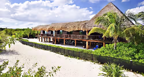 Deluxe Handcrafted 4 BR Oceanfront Treehouse