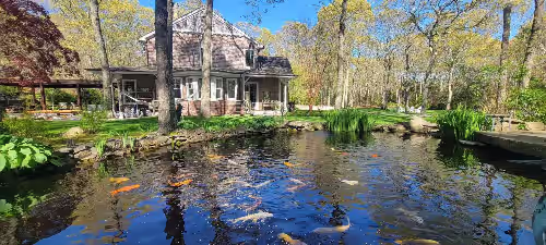 Koi Pond at Luxury Sagaponack Rental
