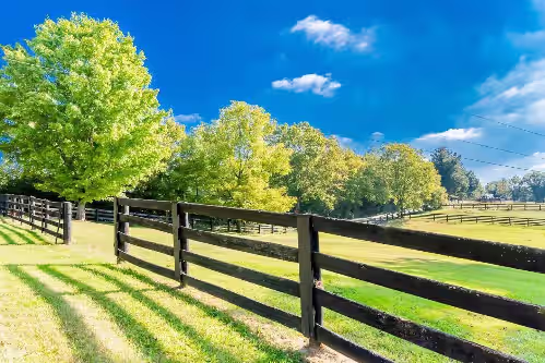 12acre Villa right by Keeneland-Keene Creek Estate 10,000sqft, photo 2