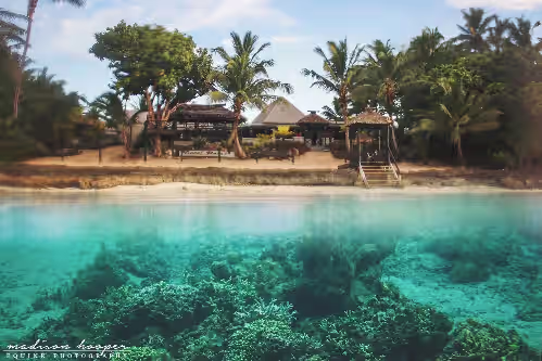 Coral Palms Exclusive Beachfront ResortA 5-star resort all to yourself!