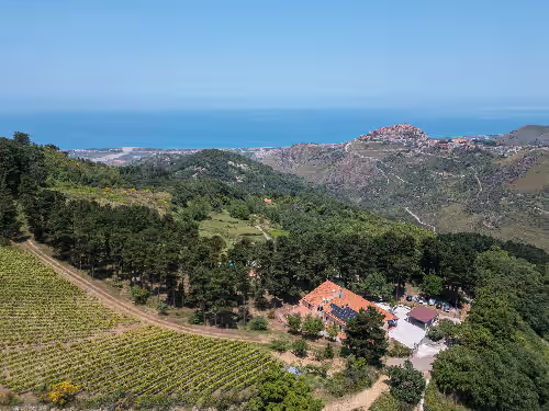 Private Villa with Vineyard, Pool & Stunning Views, photo 4