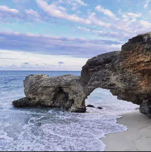 Ocean Front Luxury, photo 2