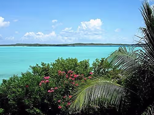 Backyard view of Chalk Sound. at Emerald shores