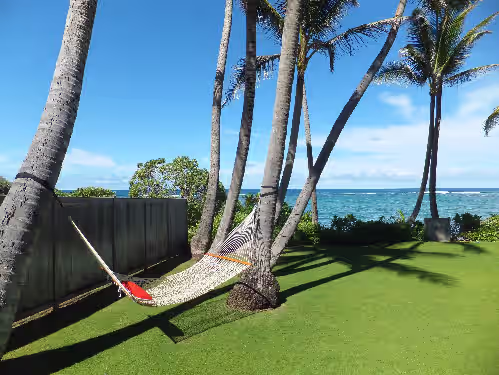 Large Gated Oceanfront Estate ~ Secluded on a beach, safe all year TVNC-4185, photo 5