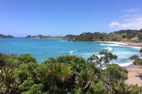 Whananaki Beach Retreat, photo 3