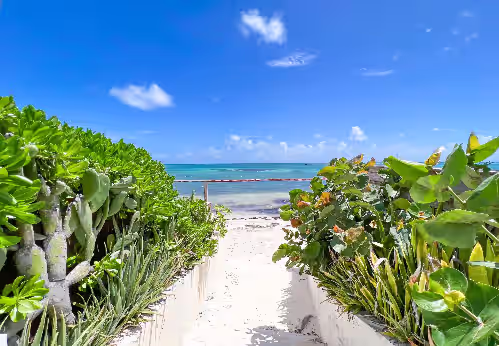 Luxury villa · StFrançois · Private beach & lagoon, photo 4