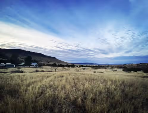 The Cattleman's Headquarters, photo 2