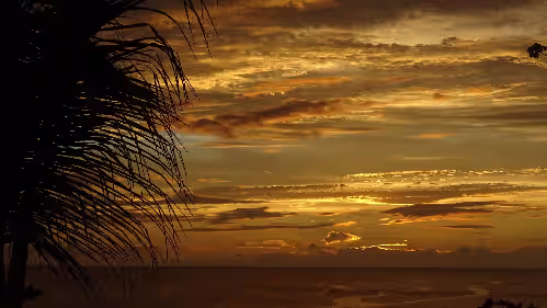 Beach at Villa with exceptional sea view, infinity pool and jacuzzi, direct sea access