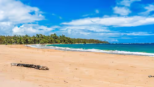 Anahola Beach Hale By Parrish Kauai, photo 5