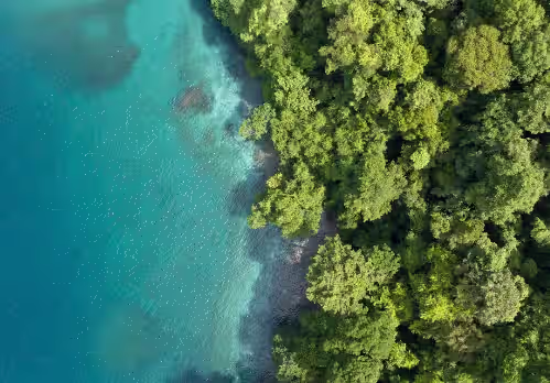 Isla Simca, photo 3