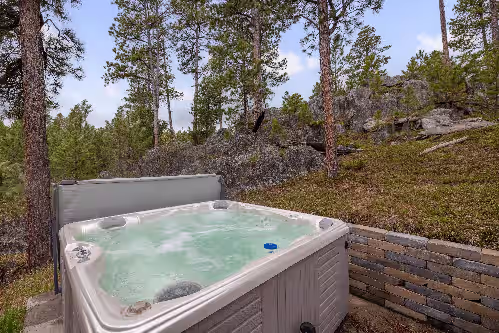 Largest Black Hills Lodge, photo 3