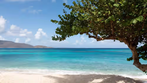 Necker Island, photo 4